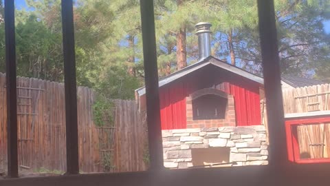 Pizza oven
