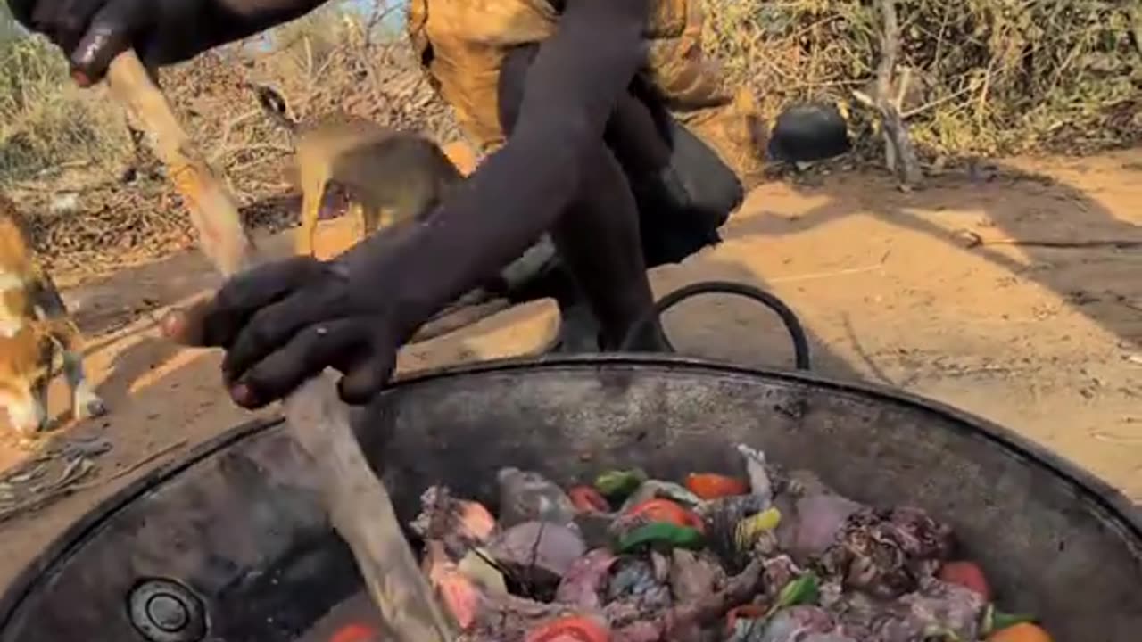 Wow this is best chief cooker in Forrest 😲