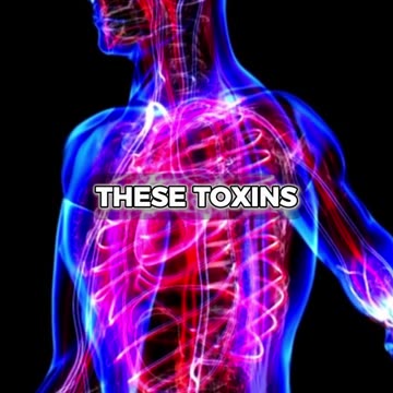 𝖬𝖺𝗌𝗍𝖾𝗋 𝖸𝗈𝗎𝗋 𝖧𝖾𝖺𝗅𝗍𝗁: 𝖡𝖾𝖼𝗈𝗆𝖾 𝖸𝗈𝗎𝗋 𝖮𝗐𝗇 𝖧𝖾𝖺𝗅𝖾𝗋 #shorts #livingwaters #wholebodydetox