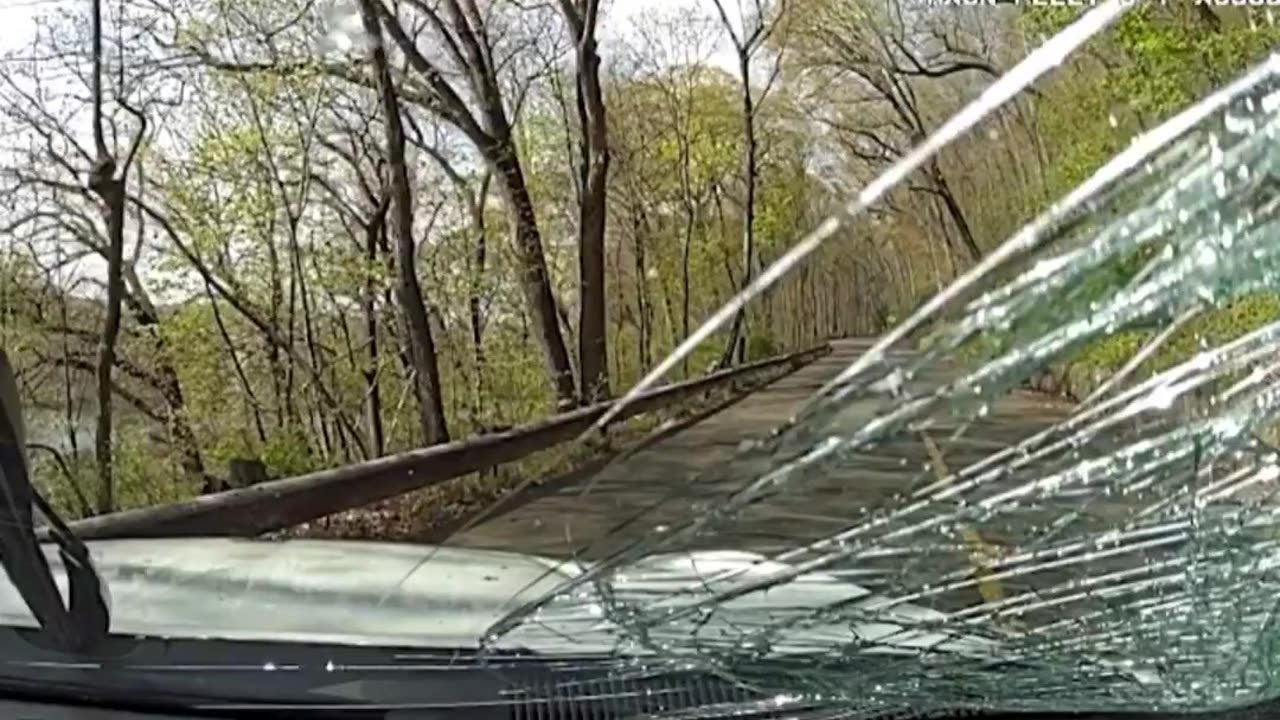 New Haven, CT police release dash cam footage