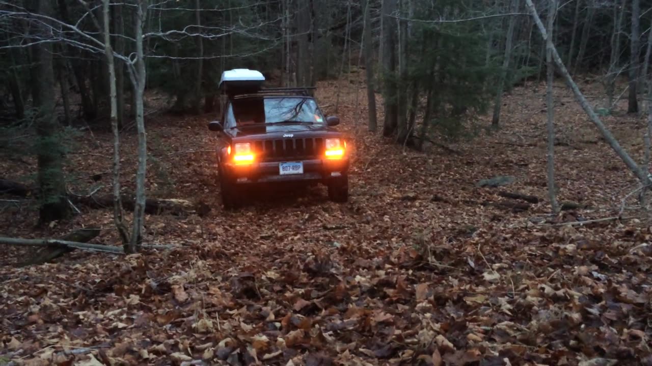 1998 Jeep Cherokee XJ Limited in the woods #jeep #cherokee #offroad