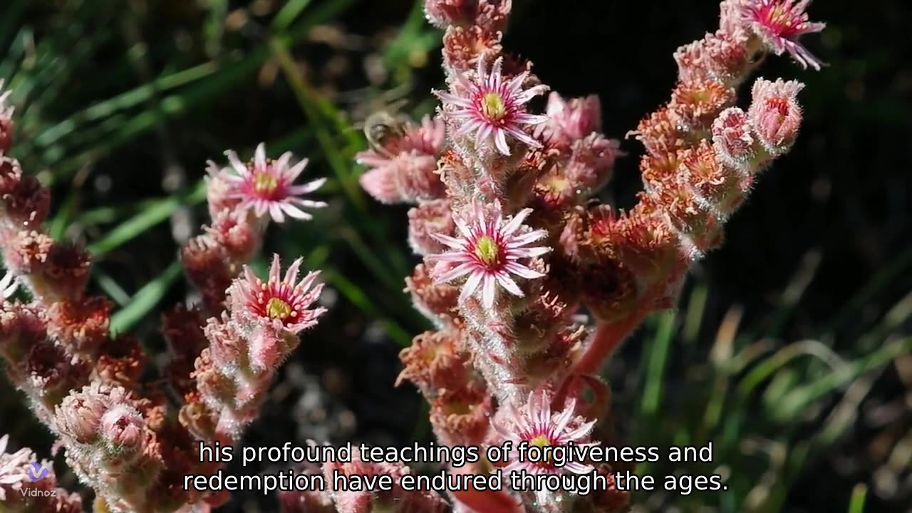 The life of Jesus Christ