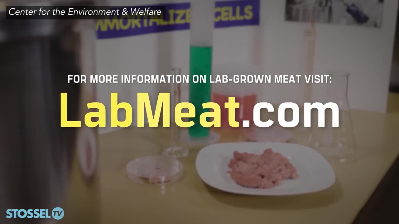 States Ban Lab-Grown Meat: John Stossel IS WRONG