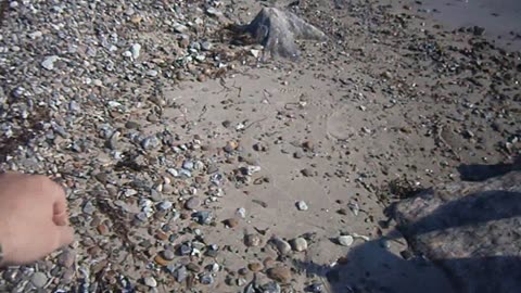 Vid havet. Pålsjö, Helsingborg 16 Maj 2013