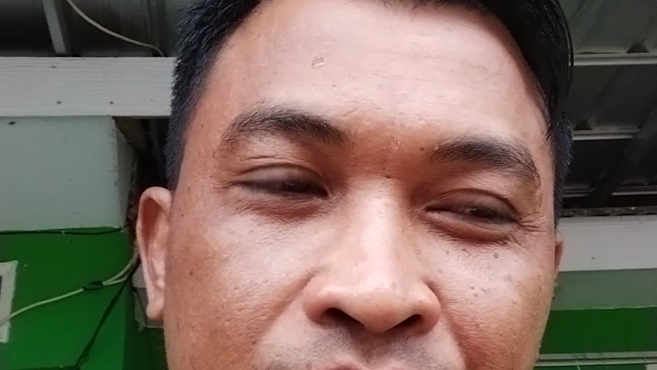 Morning every body
