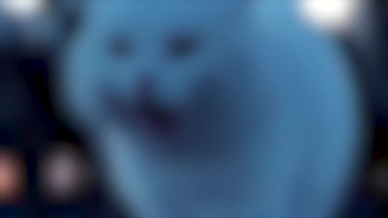 Funniest dogs and cats video gone viral .
