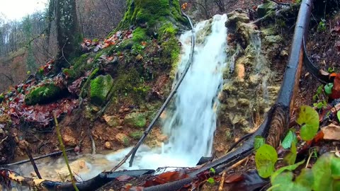 Watch life from the perspective of this video.