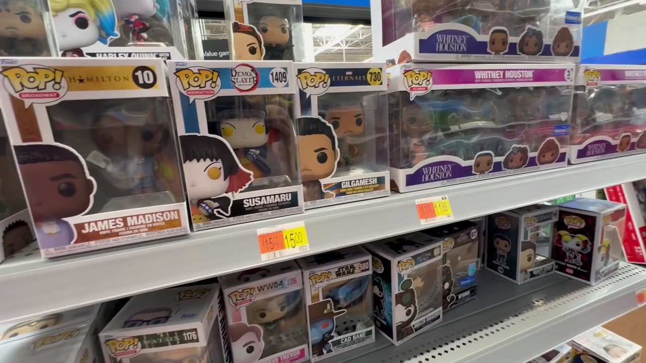 RANDOM SHORT FUNKO FIG HUNT