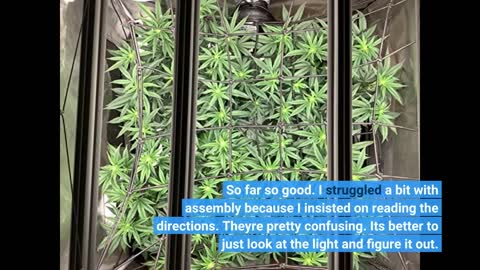 MARS HYDRO 2023 Upgraded FC-E3000 300Watt LED #GrowLight-Overview