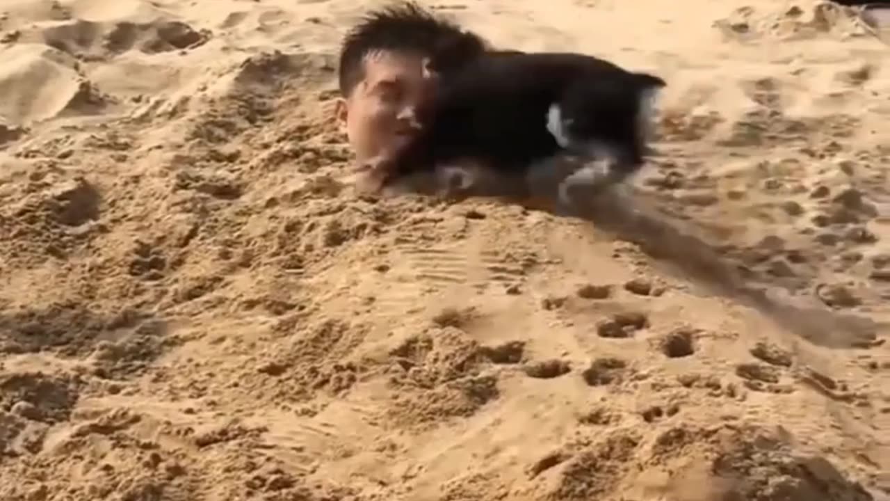 Dog is playing of his owner is very...............🤣😅