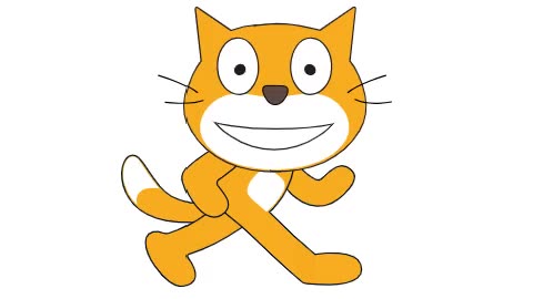Face Reveal