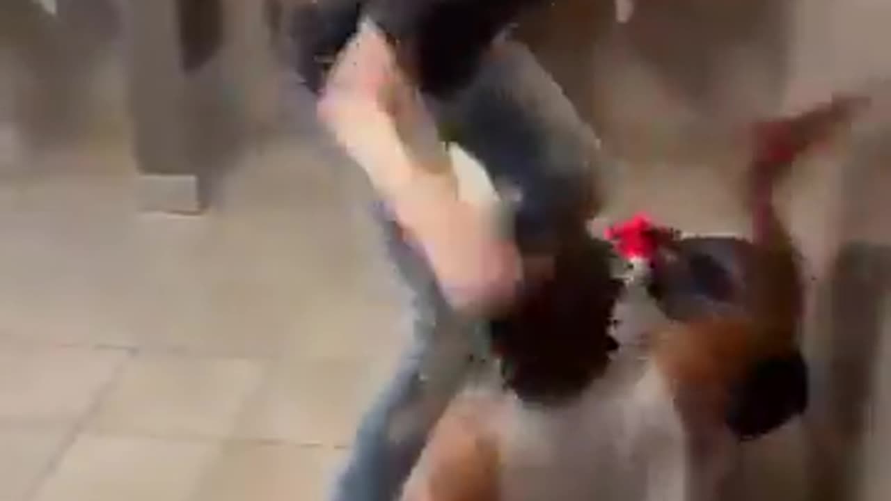 Another Bathroom Fight
