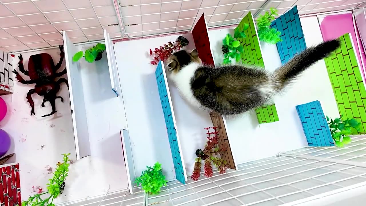 Funny_Animals for kids