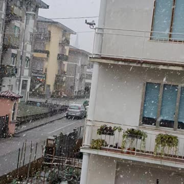 Snowfall beautiful weather