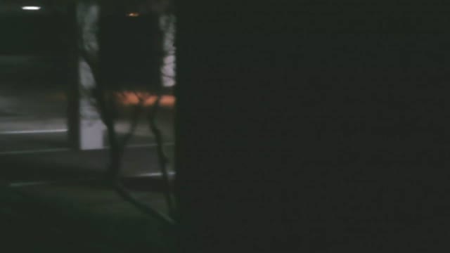 Just fun flying at night.