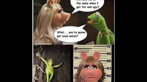 Random Memes 69