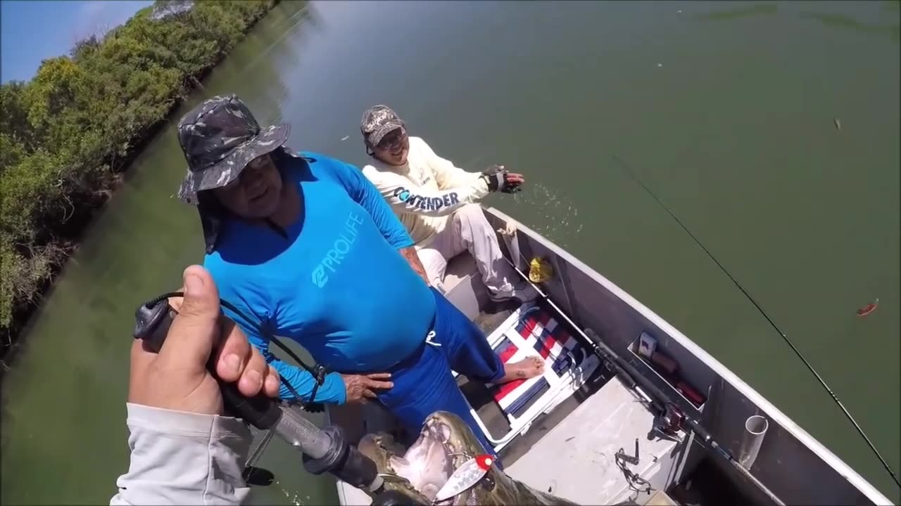 The Giant Trairão of the Amazon River
