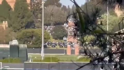 Police Staging At UCLA Gaza Protest