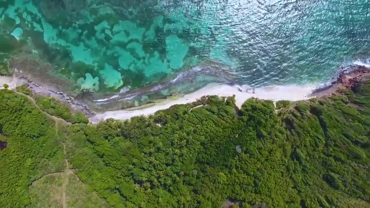 #1 Relaxing Music - Perfect for Meditation, Focus, Study, Coffee Shop, and Relax and Chill