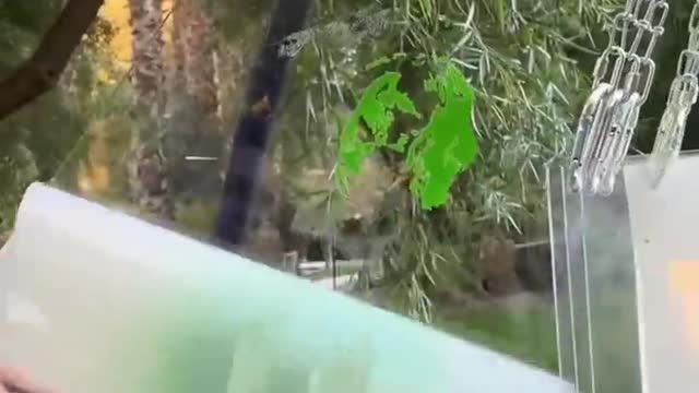 Layered painting looks 3-D on glass! 🤯￼