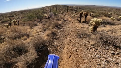 Singletrack Arizona style Yamaha YZ250X