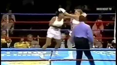 Top 10 Laila ali knockouts