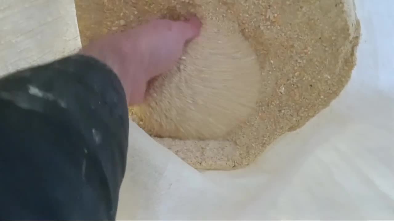 THIS IS WHY YOUR CHICKENS ARE NOT LAYING. CHANGE YOUR FEED