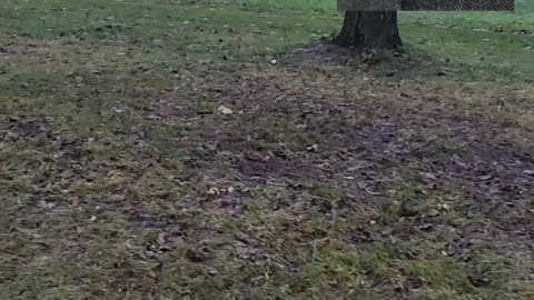 Be kovos savo darbovietėse nebus pergalių ir valstybiniu lygmeniu