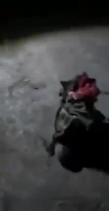 What is Left of Vadik