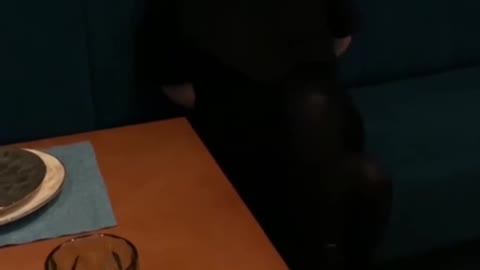 Couple Arrested for discussing War in Restaurant