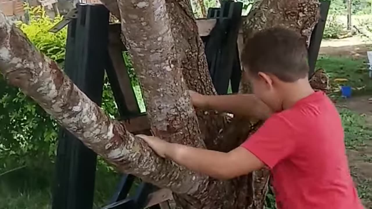 Miguel com medo do fantasma