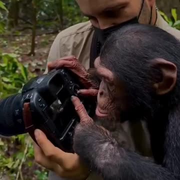 Photographer’s new apprentice 😍