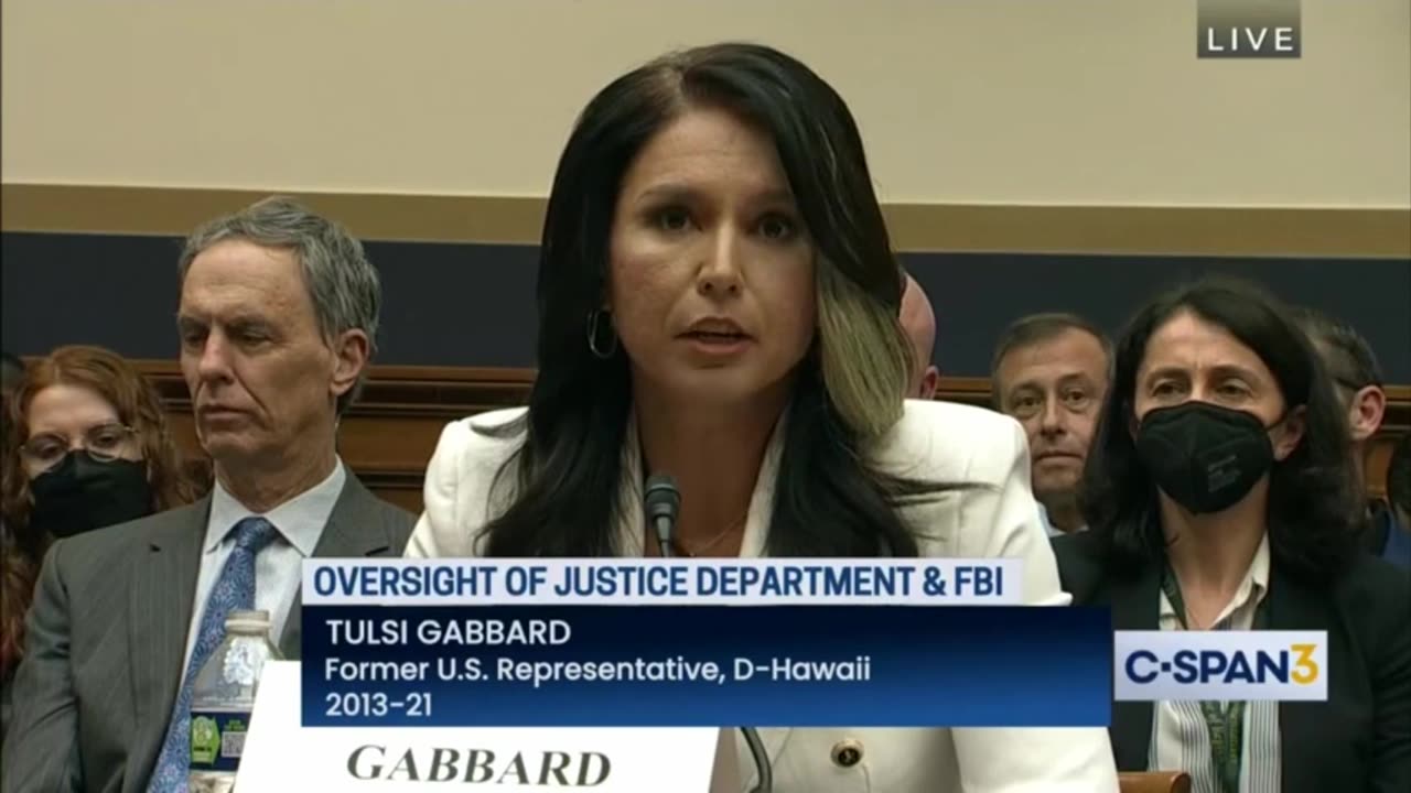 Tulsi Gabbard - House Judiciary Select Subcommittee on the Weaponization of the Federal Government