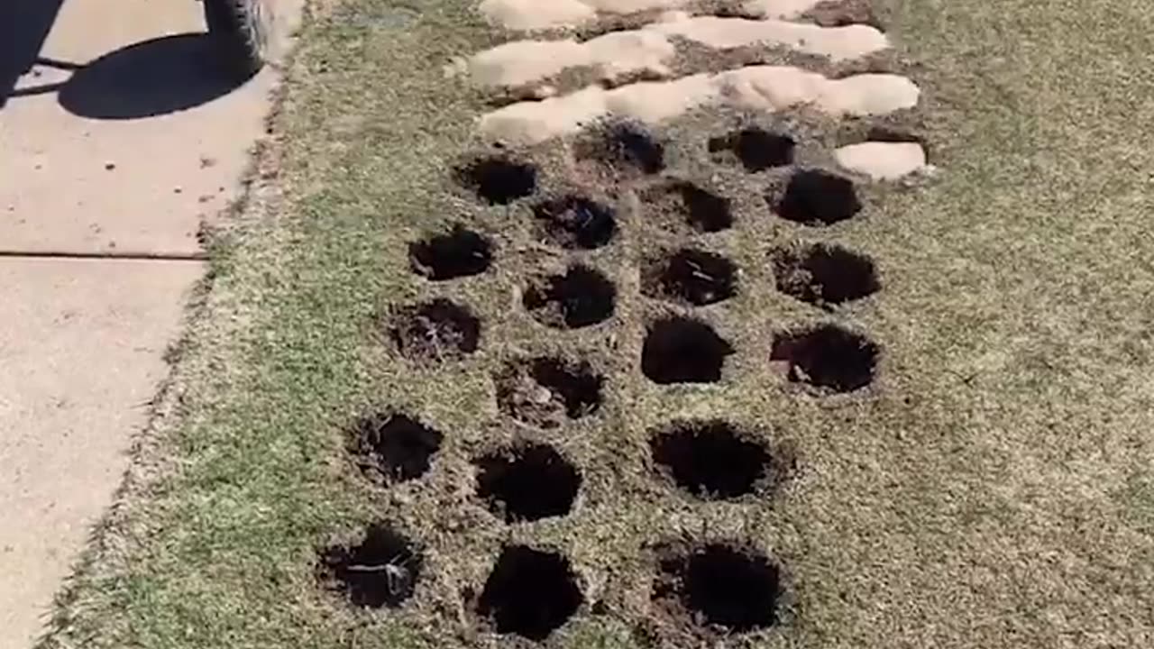 Satisfying Videos of Workers Doing Their Job Perfectly ▶22