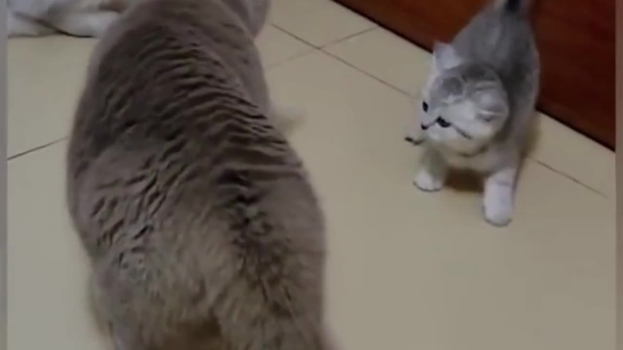 Don't Hit My BABY