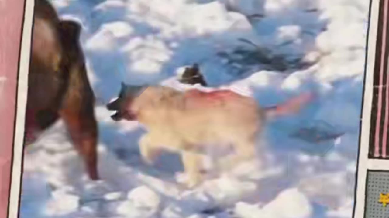 Attack Buffalo Walfs