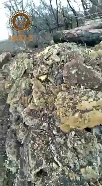 The fighters of the Special Forces "Akhmat" together with the 2nd brigade of the 2nd army corps