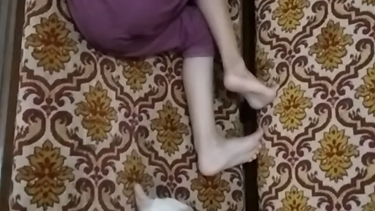 my son and his cat sleep in the same style