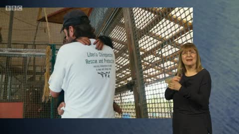 2020 (Jan 09) BBC Two "Baby Chimp Rescue" S1:E1 - "Miracles can happen" (720P / Sign language)