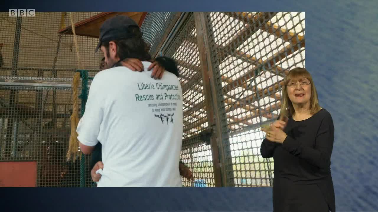 2020 (Jan 09) BBC Two "Baby Chimp Rescue" S1:E1 - "Miracles can happen" (720P / Sign language)