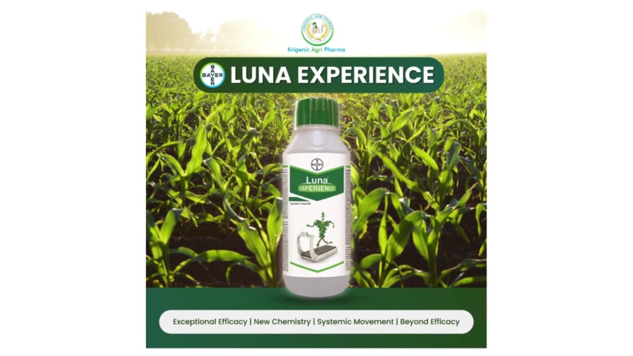 Elevating Agricultural Excellence: Luna Experience in India