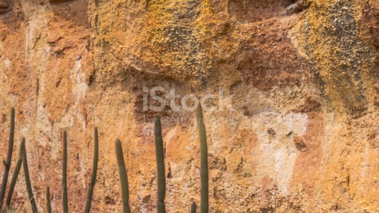 Unveiling Serra da Capivara: Brazil's Hidden Gem #travel #explore #history