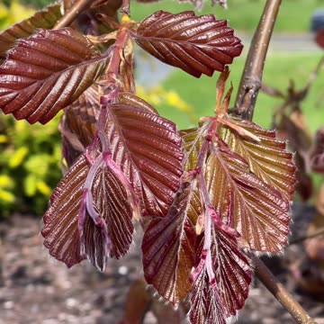 Beautiful thought #short #viral