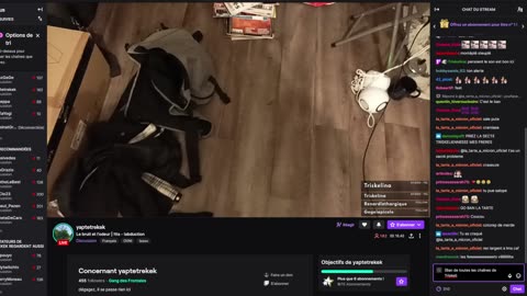 2023-02-02 (6bis.3) - Dessin - Twitch Triskelina (version avec chat)