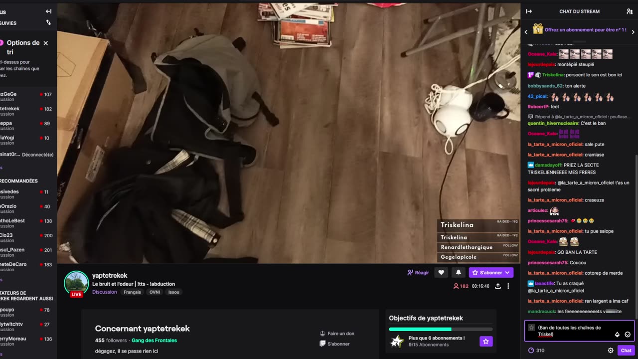 2023-02-02 (6bis.3) - Dessin - Twitch Triskelina (version avec chat)