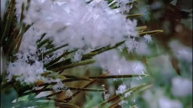 Is it snowing in your city?