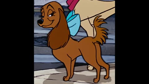 Why Should I Worry Fart Edition