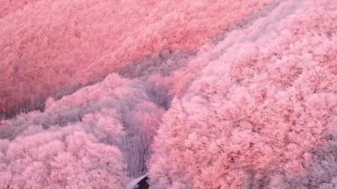 East Tennessee