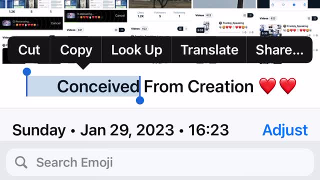 🎼🦁❤️❤️🦅❤️❤️🦁🎼