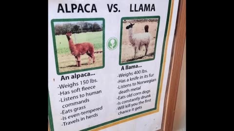 Random Memes 136